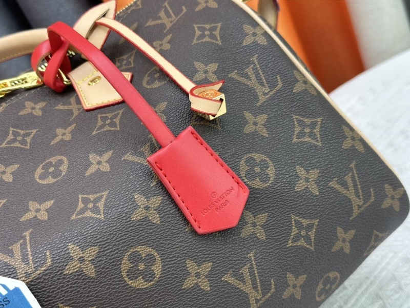 LV Speedy Bags